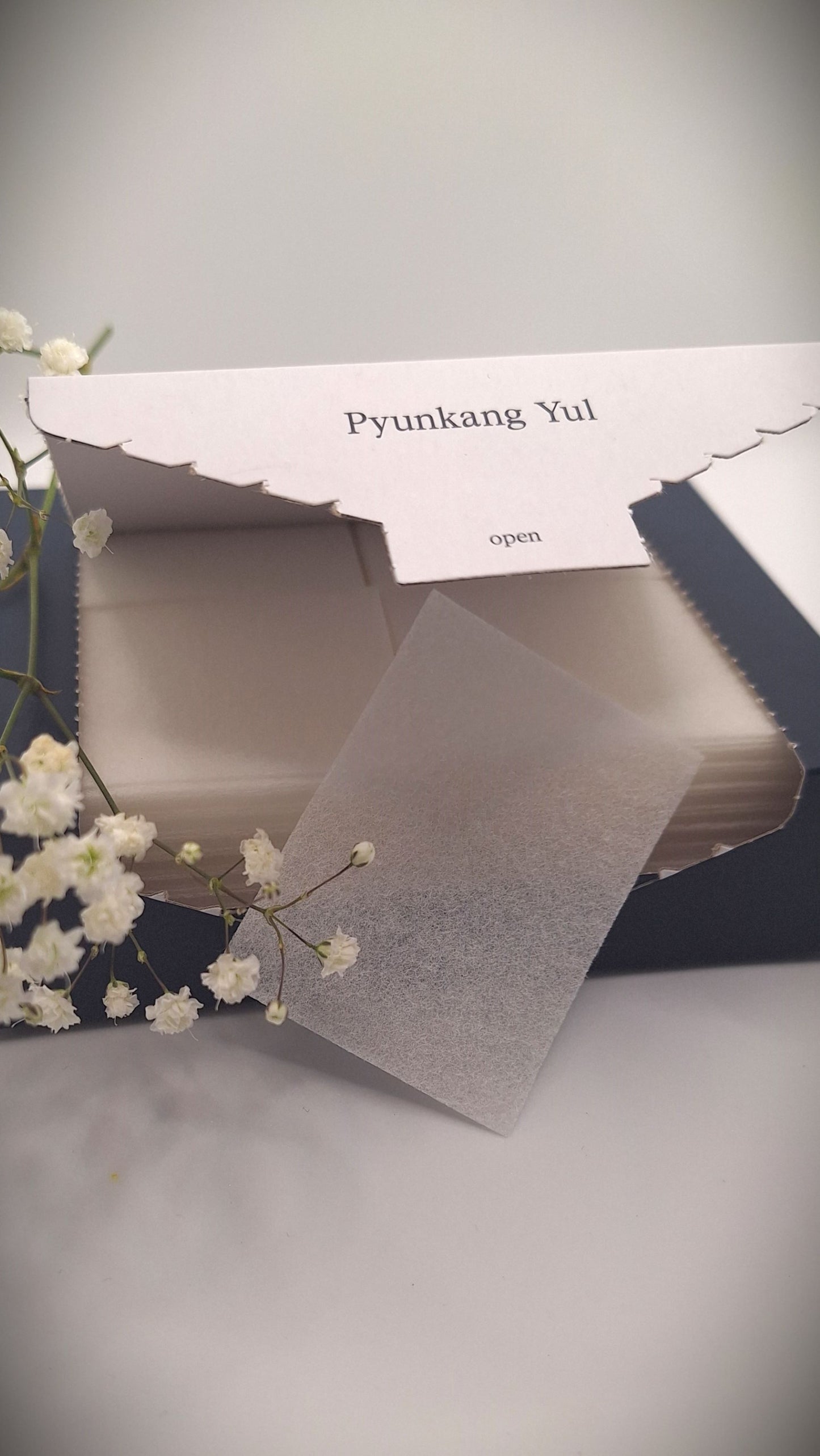 Pyunkang Yul 1/3 Cotton Pad
